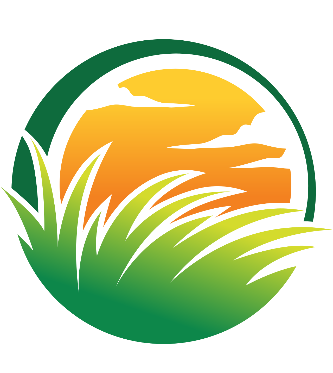 Murdoch's Lawn & Hedge